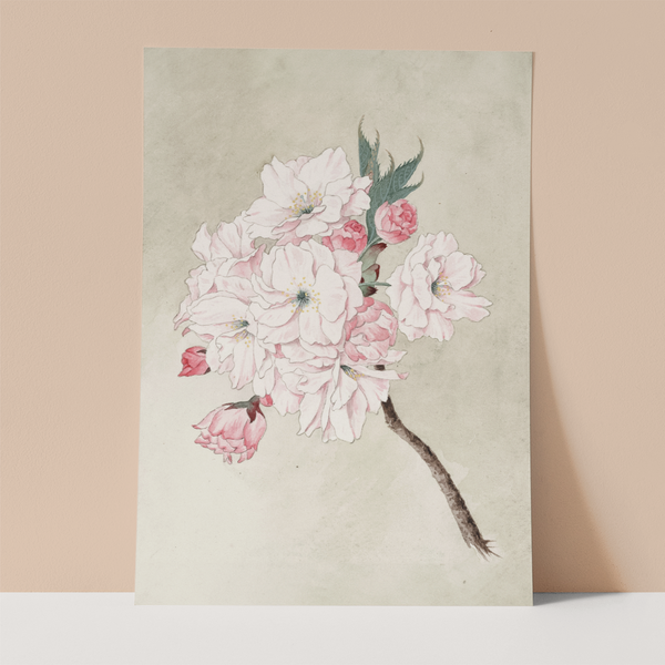 Pink Soft Floral Wall print