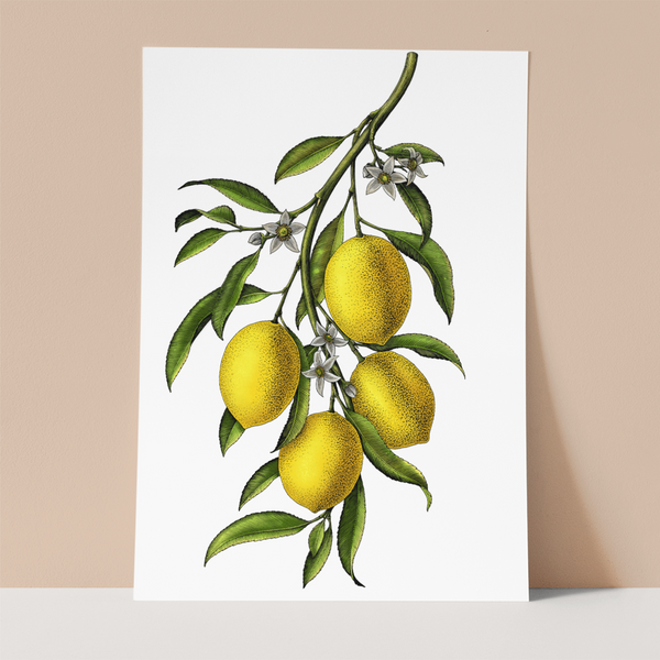 Blooming Lemons Wall print