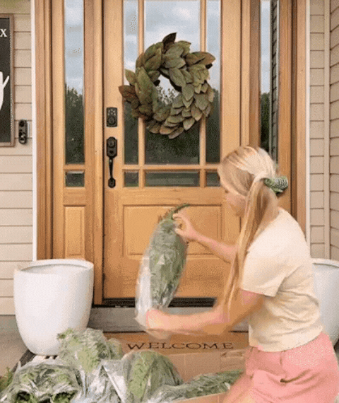 Showcasing the easy decor and aesthetics of GreenAura