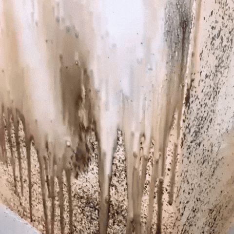 Showcasing the easy mould removal on any surface with NoMold