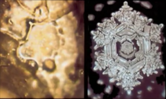 Emoto Before and after prayer