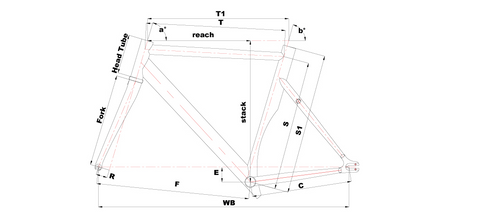 Vigorelli Shark Diagram