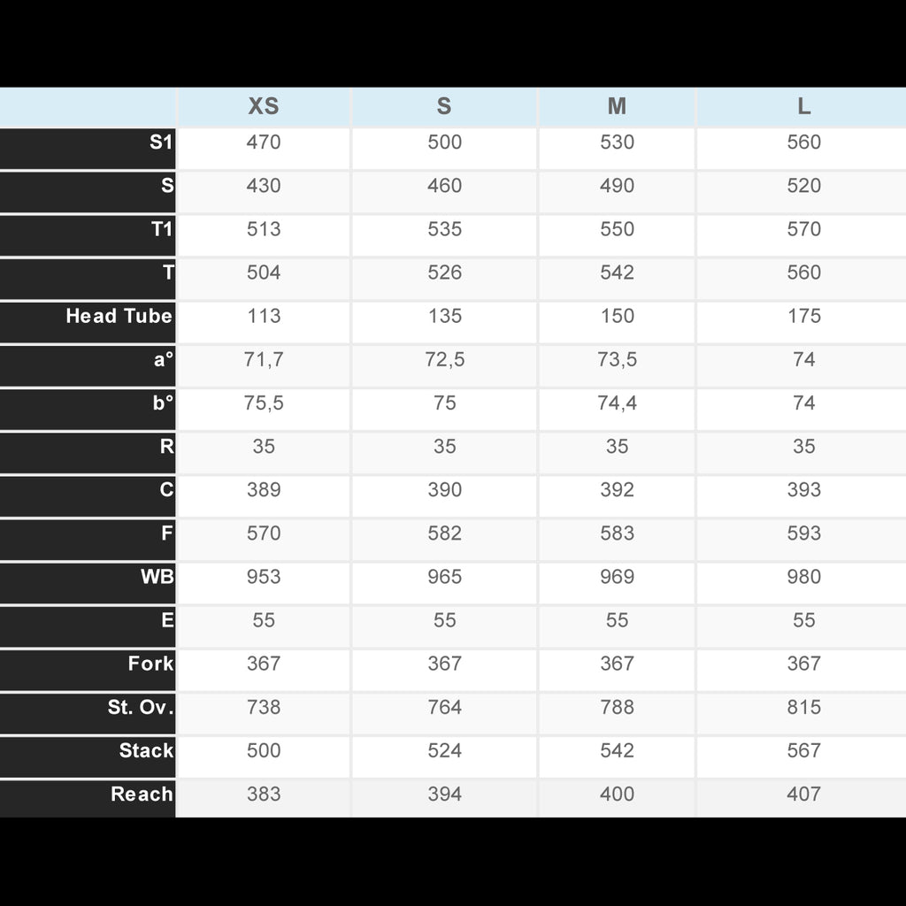 cinelli size chart