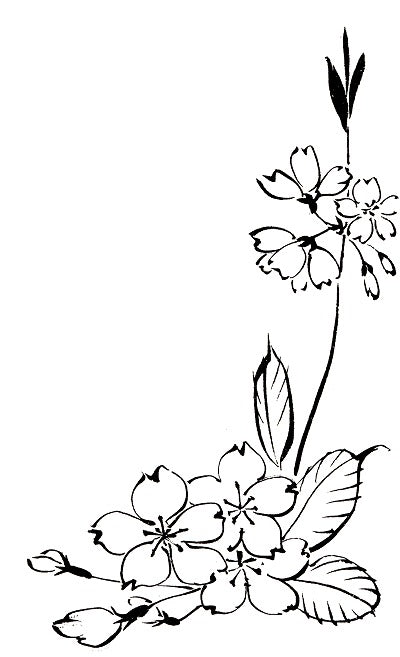 201532522537.jpg