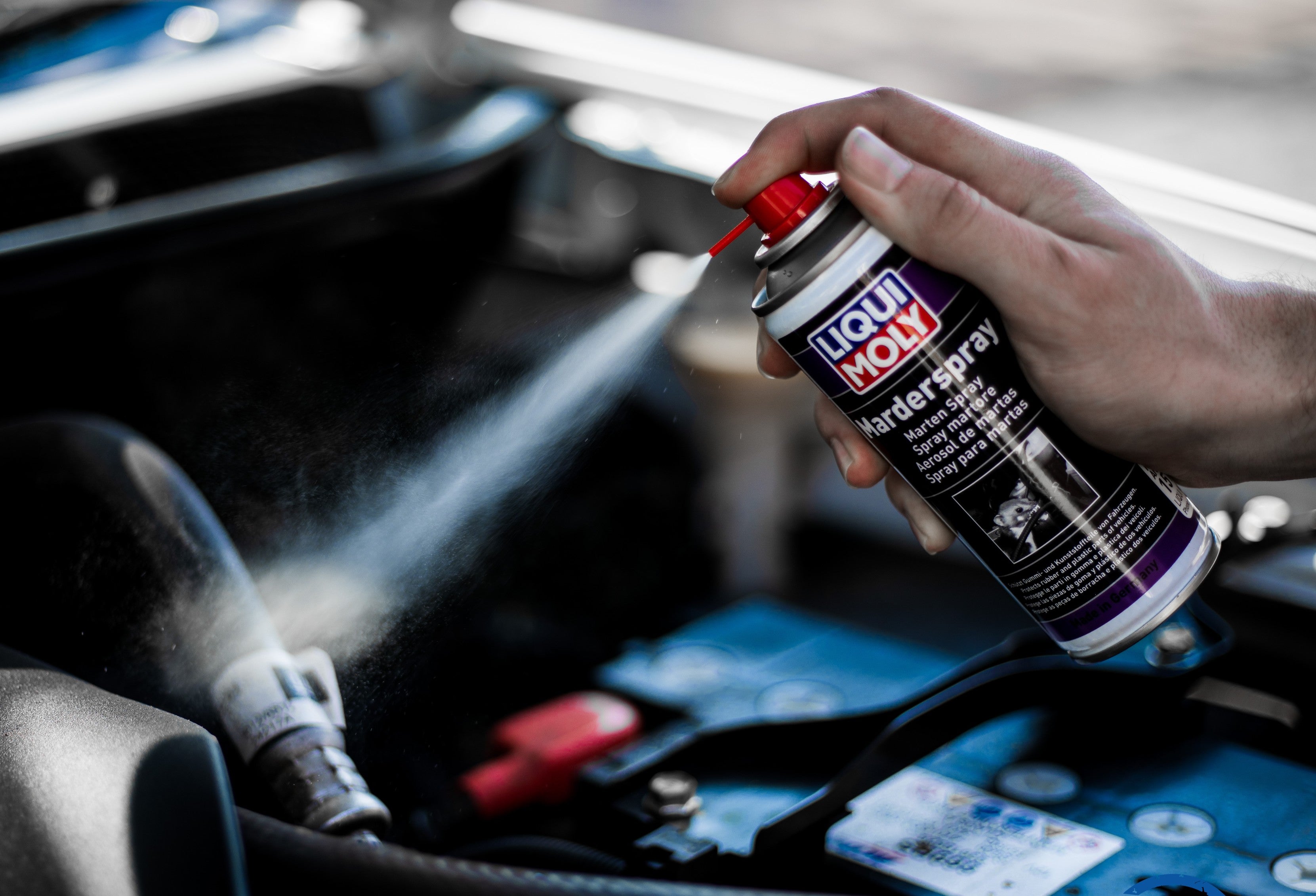 Liqui Moly Stocks Up On Anti-Rat Spray –