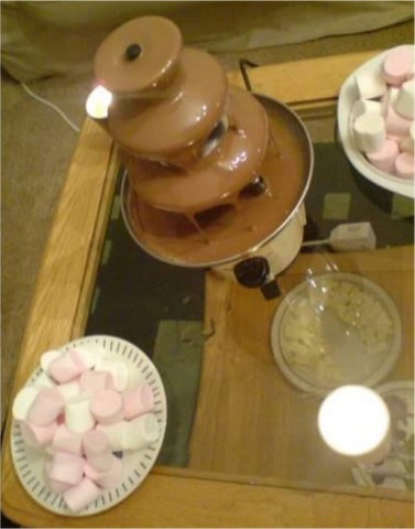 Chocolate Fountain and Marshmallows