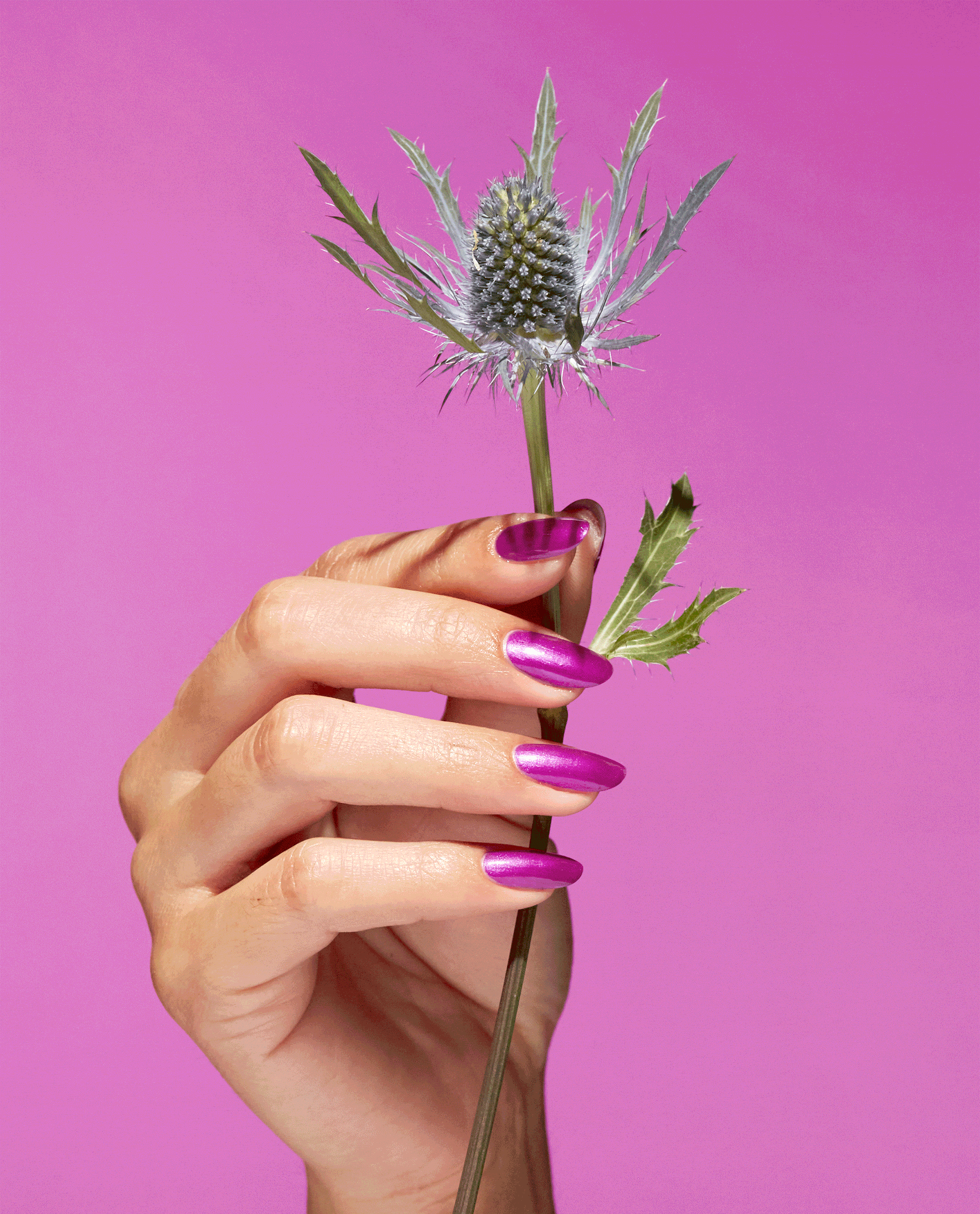 OPI Thistle Make You Bloom Pink Natural-origin Nail Polish GIF
