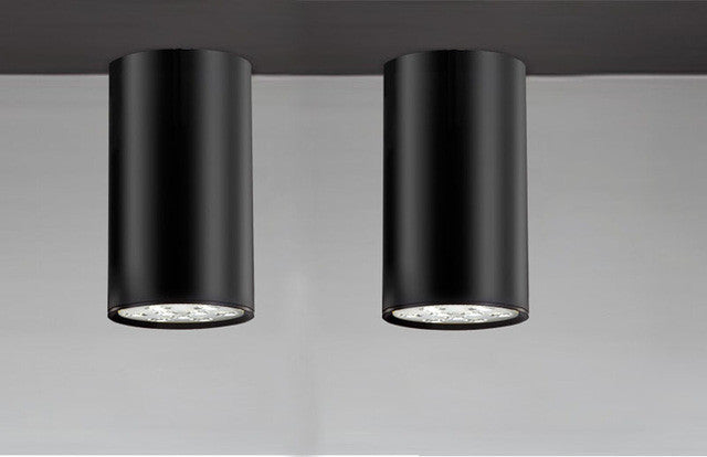 ceiling lights online