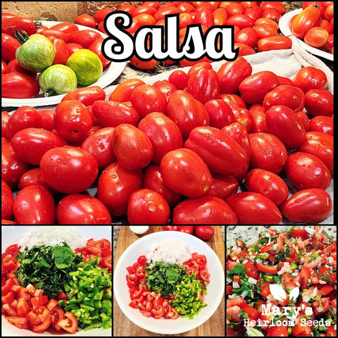 Heirloom Tomato Salsa, 16 oz