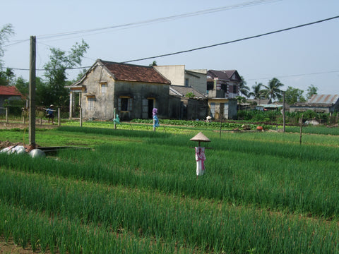 Organic herb farm Hoi An