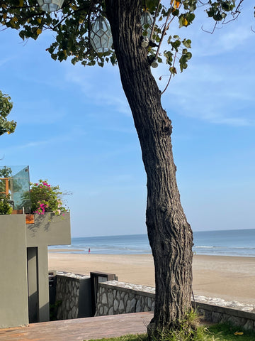 Hua Hin Beach from V Villas
