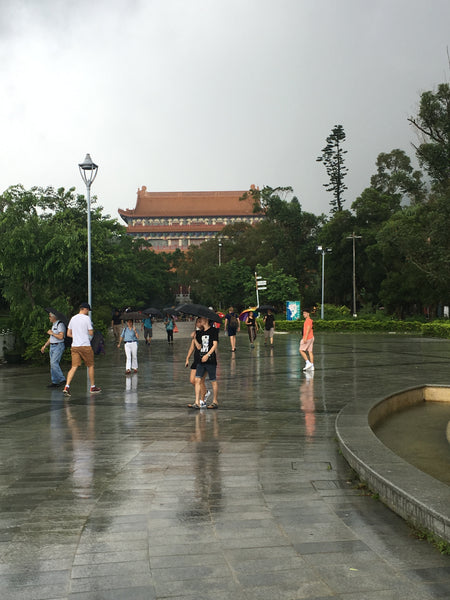 Ngong Ping village Hong KOng