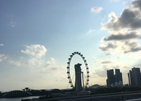 Singapore Flyer and skyline