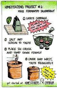 Project 2 Ferment Fresh Sauerkraut