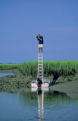 Eric Horan photographing on ladder Beholding Nature book