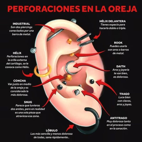 infografia-piercings-oreja