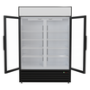 Borrelli Upright Display Freezer Double Door 1012 Litre