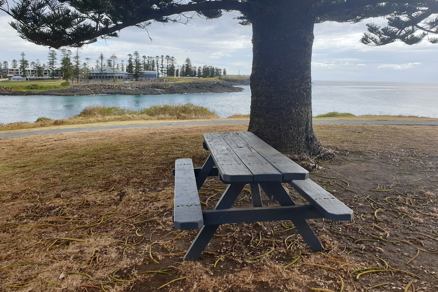 Picnic Bench and Table