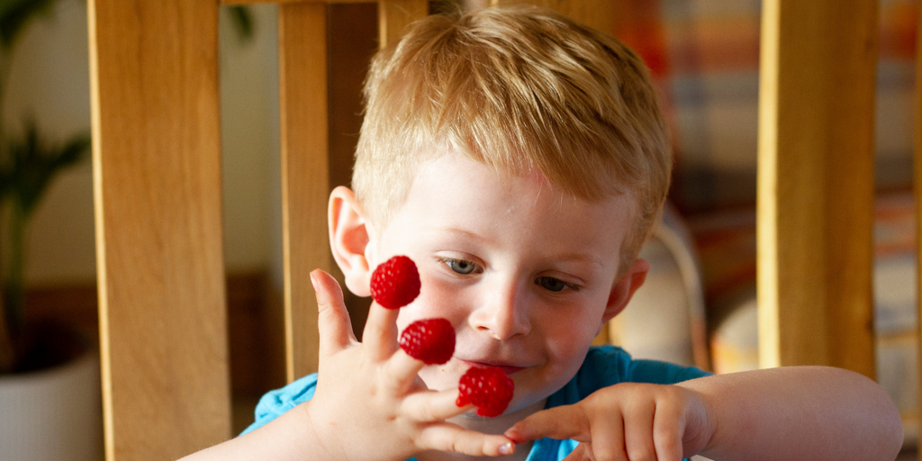 Preschool child counting raspberries on fingers