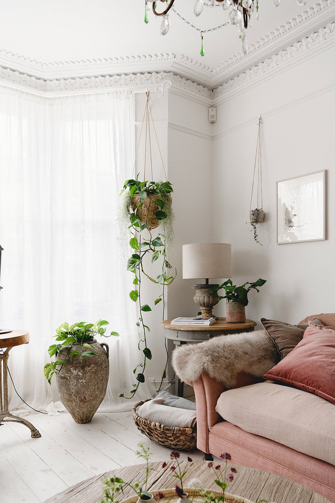 Sheepskin rugs