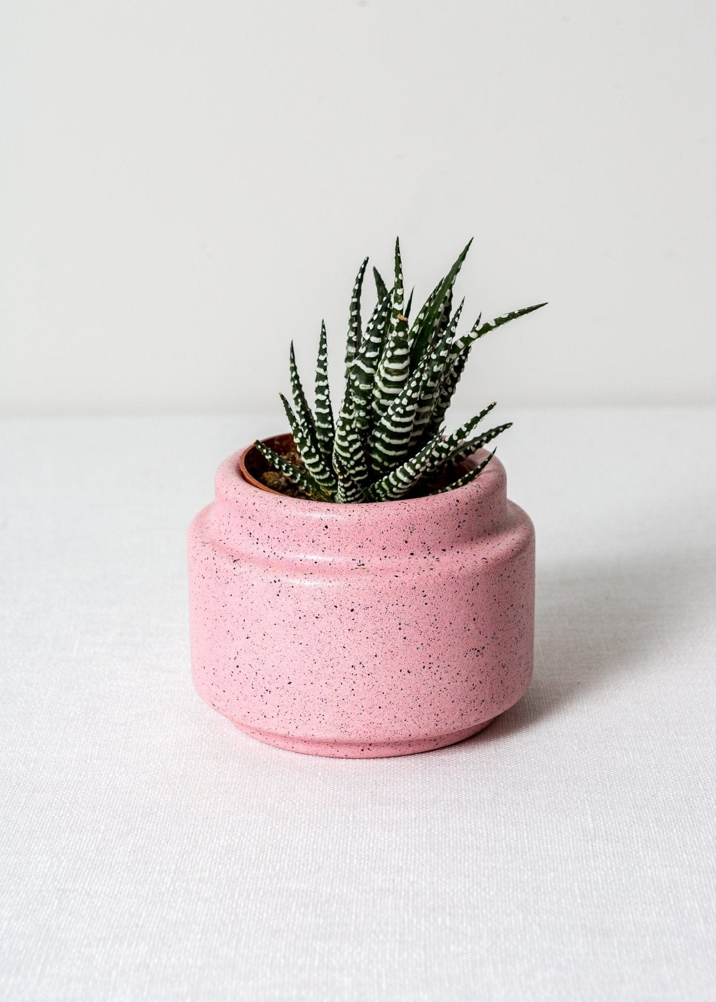 Speckled Concrete Planters