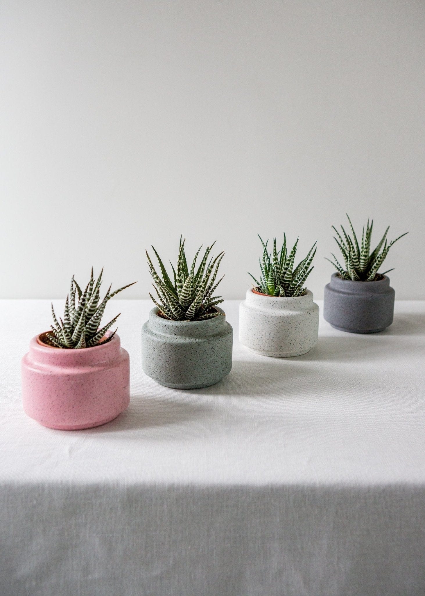 Speckled Concrete Planters