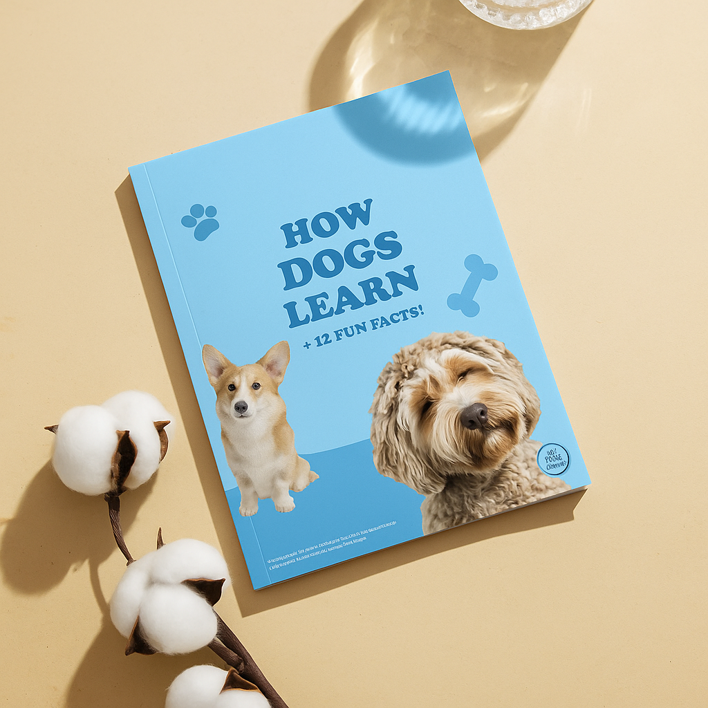 E-book How Dogs Learn