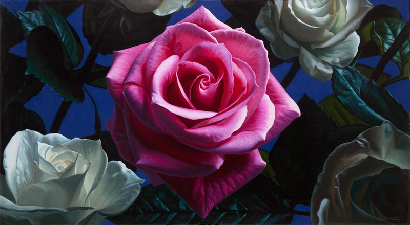 Red and white rose oil painting by Vincent Keeling