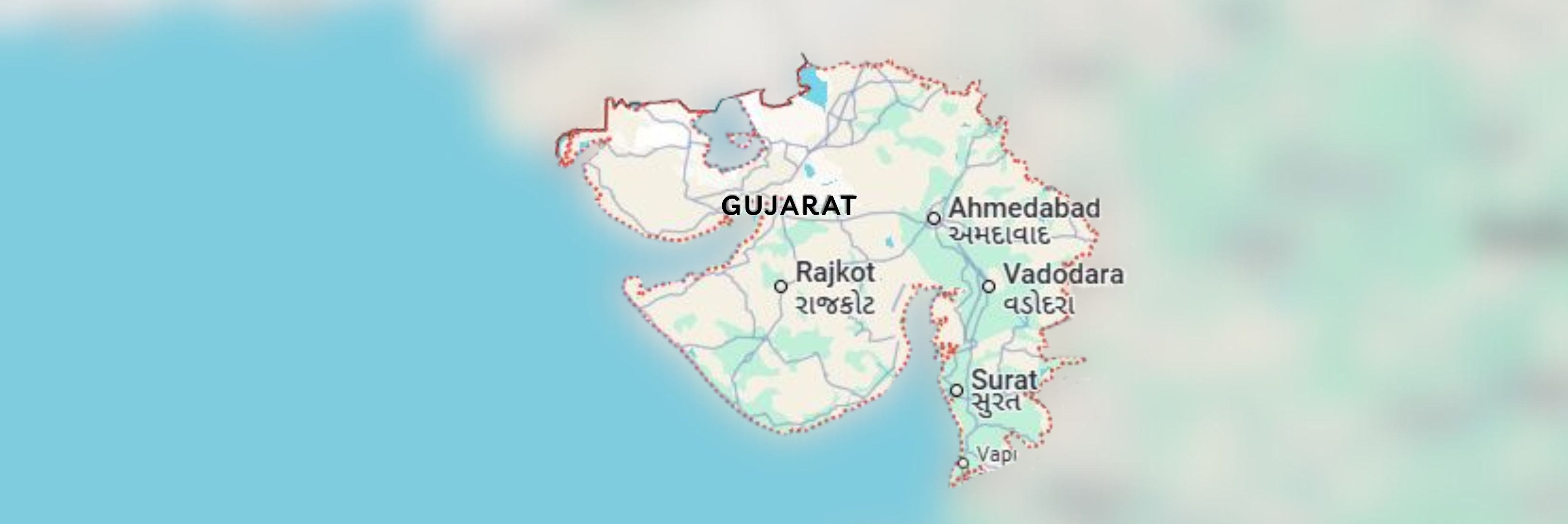 pickleball paddles in Gujarat