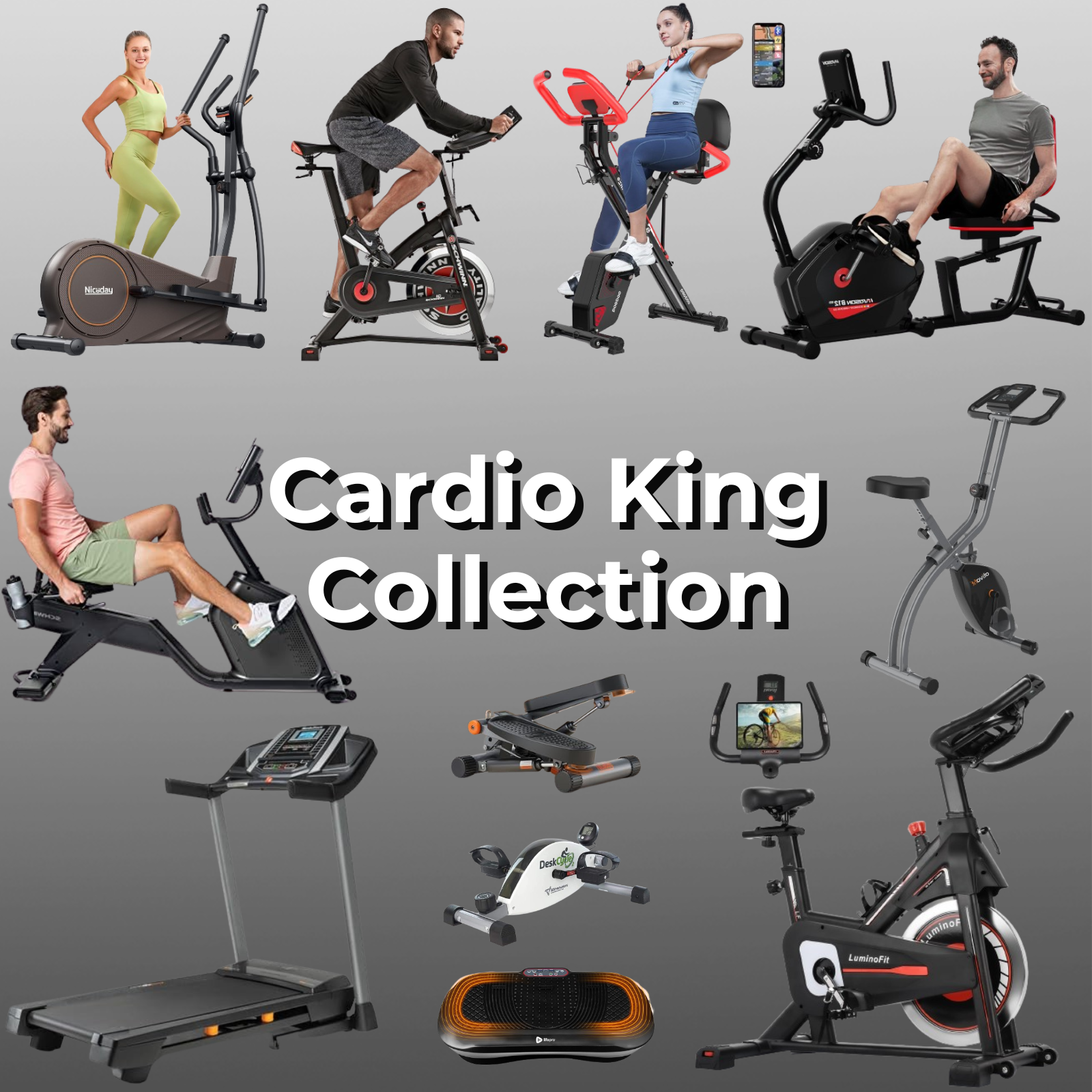 Selection of cardio equipment such as treadmills, elliptical machines, and indoor cycling bikes.