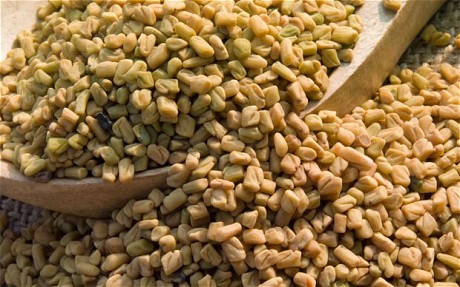 how to use fenugreek to help increase breastmilk