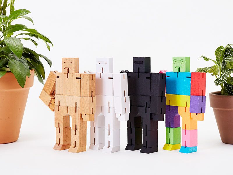 Get the Cubebot Small Basic Bundle