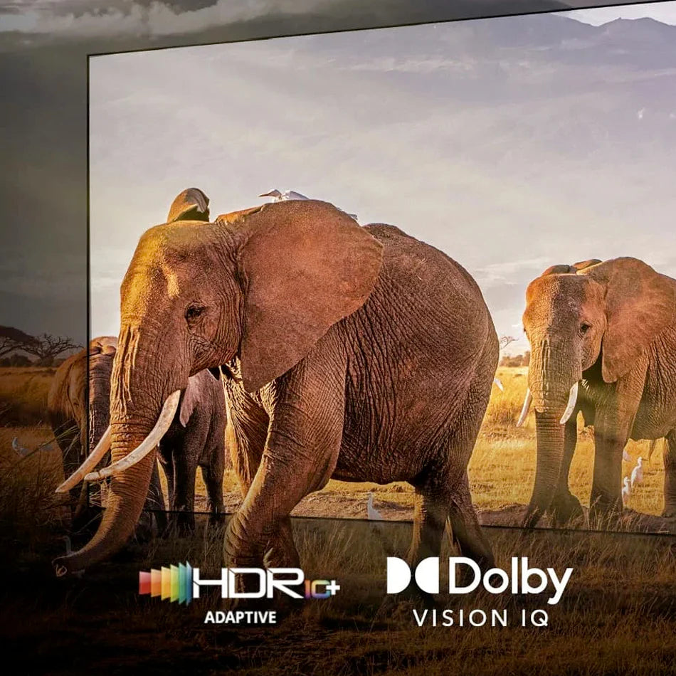 See all the content you love in dazzling detail