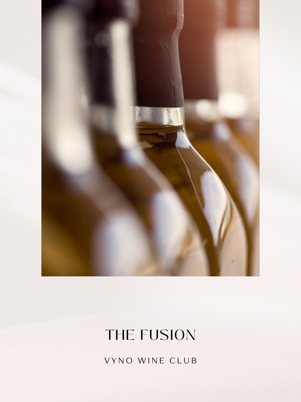 The Fusion - Vyno Wine Club product image