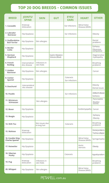 PetWell Common health issues of top 20 dogs in Australia