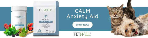 PetWell CALM Anxiety Aid Supplement and Treats for Cats and Dogs