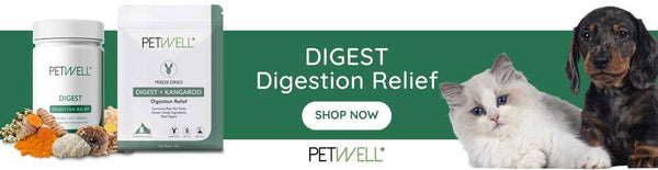 PetWell DIGEST Digestion Relief Supplement and Treats for Dogs and Carts