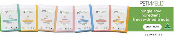 PetWell Freeze dried healthy treats for dogs and cats