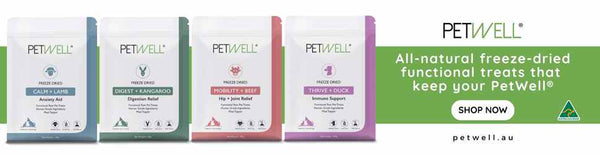 PetWell Functional Treats for Cats and Dogs