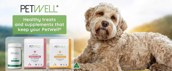 PetWell Healthy Treats and Supplements for Dogs and Cats