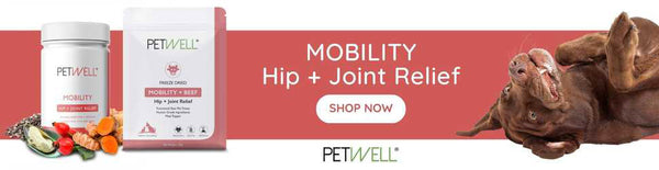 PetWell MOBILITY Hip and Joint dog and cats supplement and treats