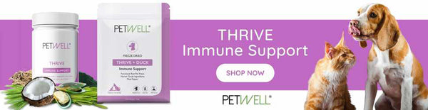 PetWell THRIVE Immune Support supplement and treats for dogs and cats