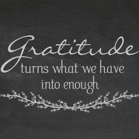 gratitude turns what we have into enough sign