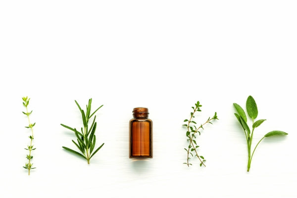 small glass bottle with plants on either side