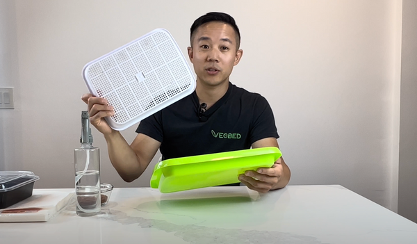 Albert Lin of Vegbed showing a grow tray for microgreens