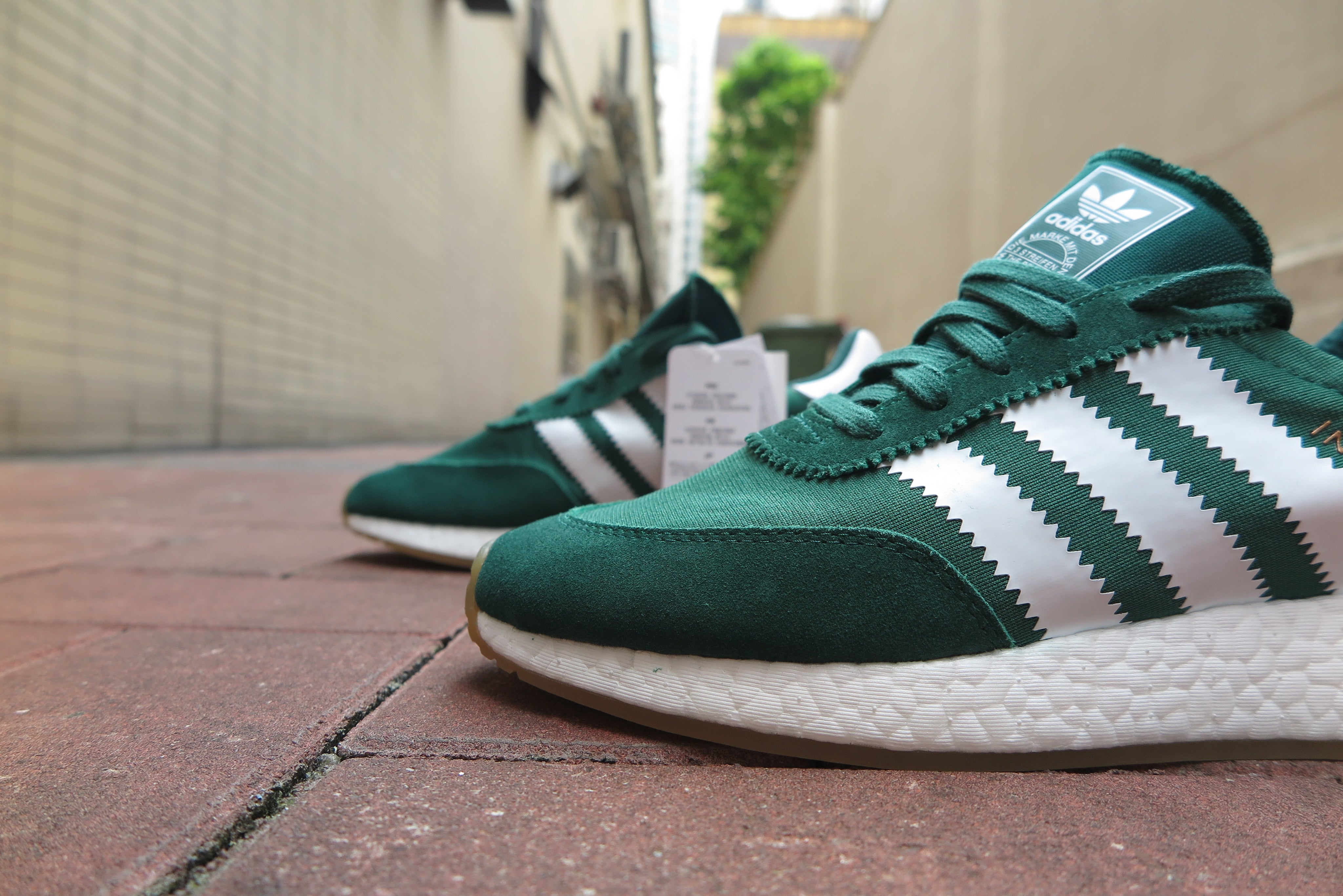 iniki collegiate green