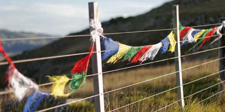 Utilise the Tibetan Prayer Flags, the little tibet blog