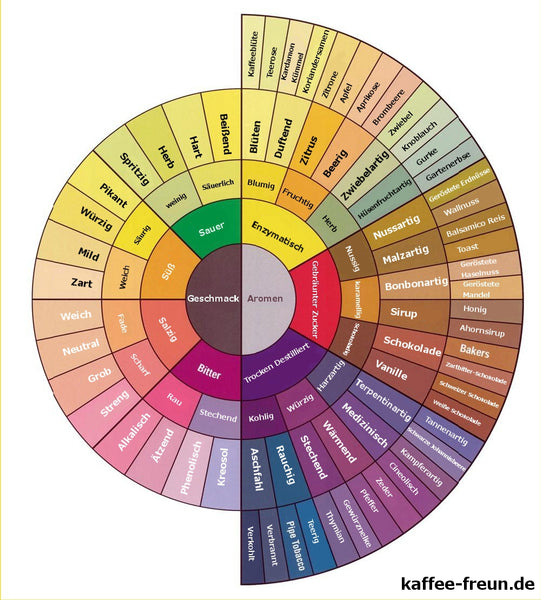 Geschmacksrad Kaffeebohne