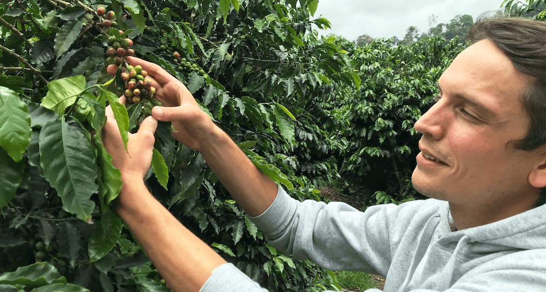 earlybird coffee Gründer Emanuel hält auf einer Kaffeeplantage eine Kaffeekirsche in den Händen