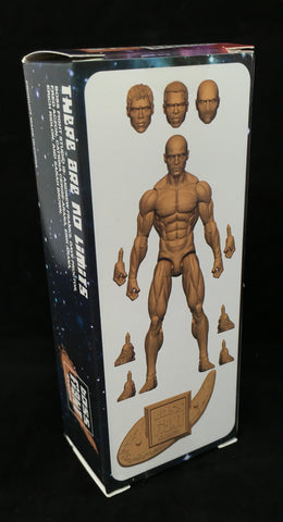 bodybuilding action figures